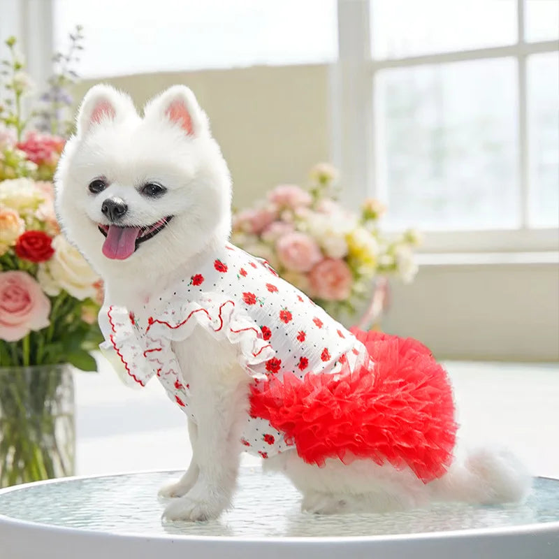 New Floral Lace Cat Dog Dress with Leash, - ProPawPet.com