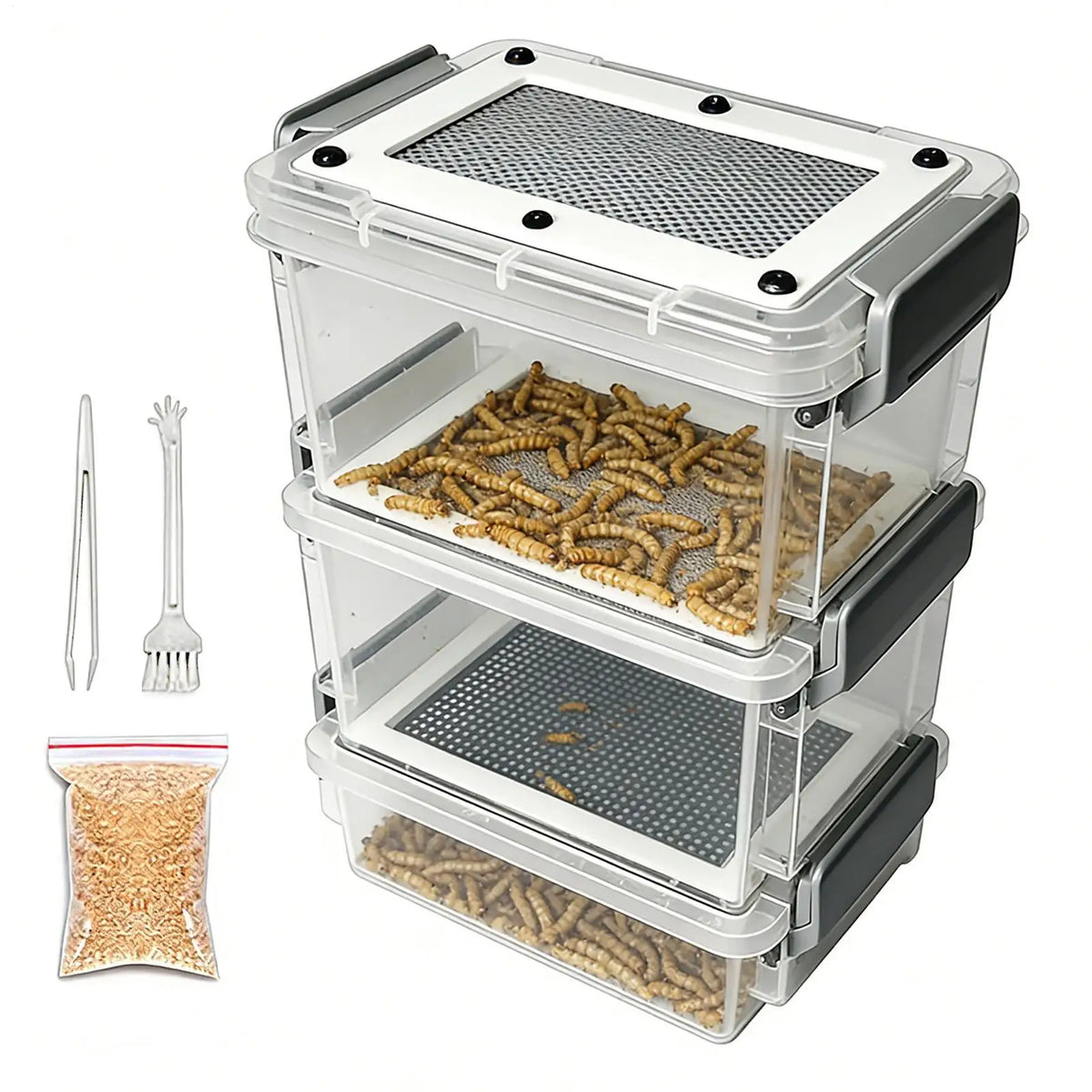 Reptile Feeding Box Transparentk Acrylic - ProPawPet.com