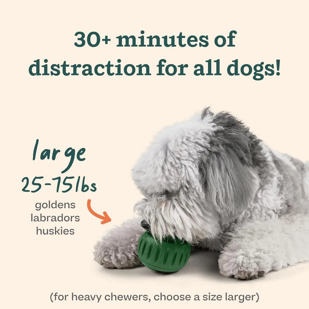 Pupsicle and Treat Tray Long-Lasting - ProPawPet.com