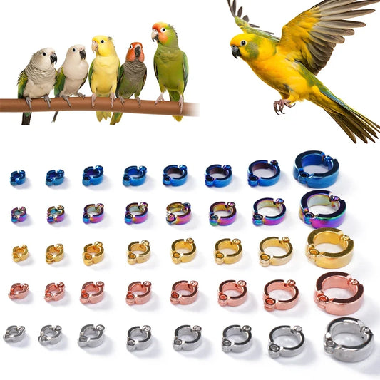 New 4-15mm Parrot Foot Rings Metal Pet Bird - ProPawPet.com