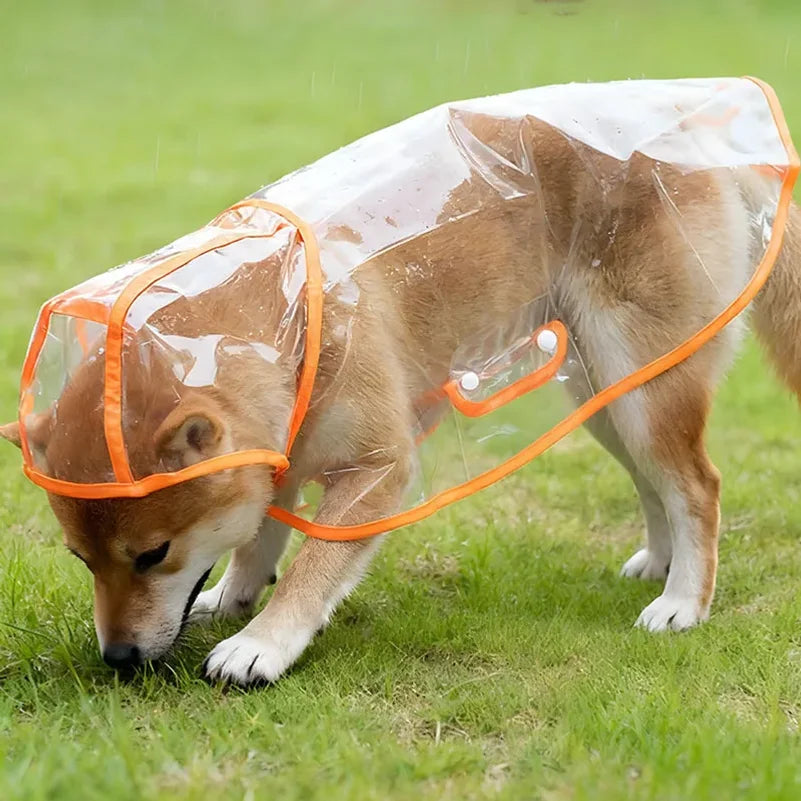 Pet Raincoat Transparent Dog Raincoat - ProPawPet.com