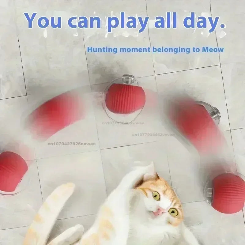 Interactive Rolling Cat Ball Dog Toy Rolling - ProPawPet.com