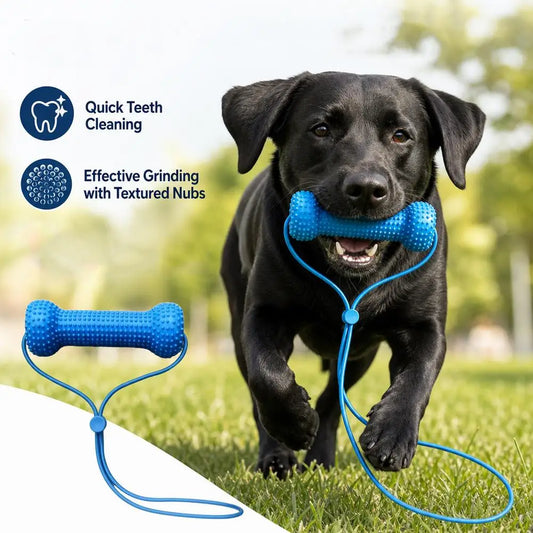 TPR Dog Squeaky Toothbrush Molar Chew Stick - ProPawPet.com