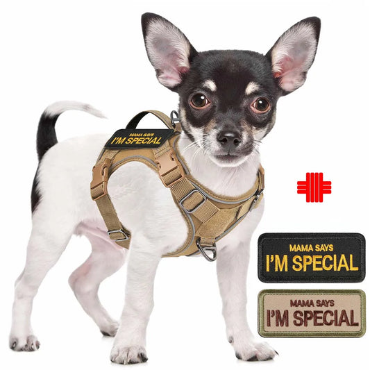 Tactical Dog Harness for Small Dogs - - ProPawPet.com