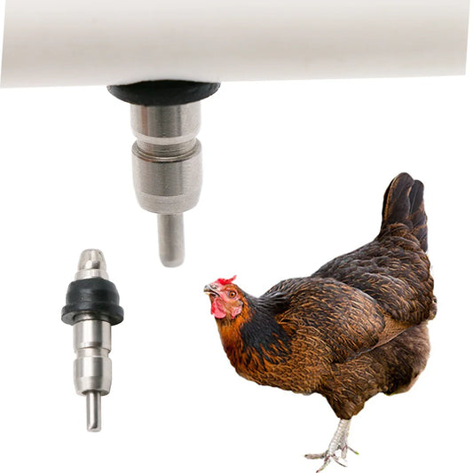 5 Pcs Chicken Drinking Water Nipples - ProPawPet.com