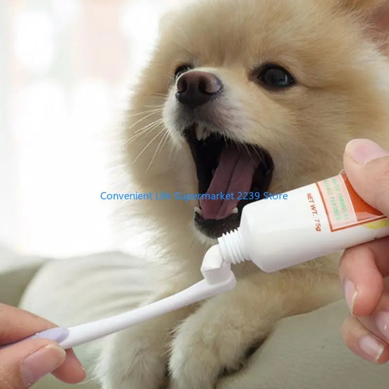 Long Handle Pet Toothbrush Small-Head - ProPawPet.com