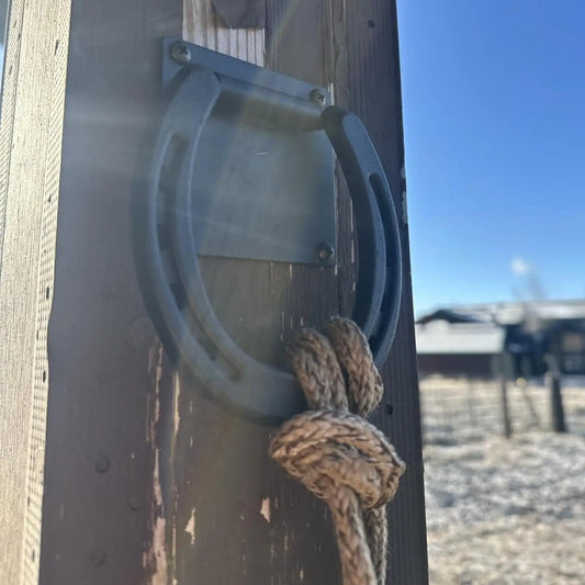 Horse Tie Up Ring Hitching Rings Barn - ProPawPet.com