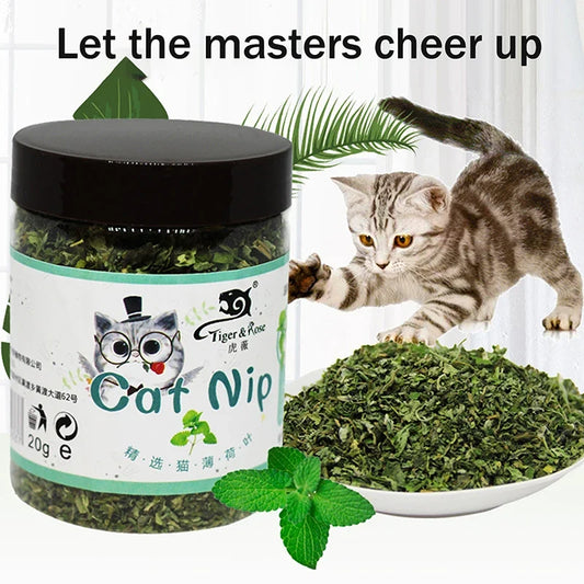 1pc Organic 100% Natural High Quality Catnip - ProPawPet.com