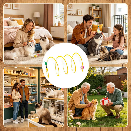 Cat Toy Tunnel Foldable Interactive Self - ProPawPet.com