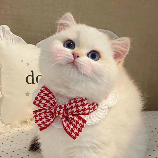 1PC Fashionable and Cute Cat Collar with - ProPawPet.com