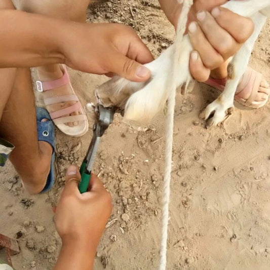 1 Pcs Cattle Horse Cow Hoof Clippers Repair - ProPawPet.com