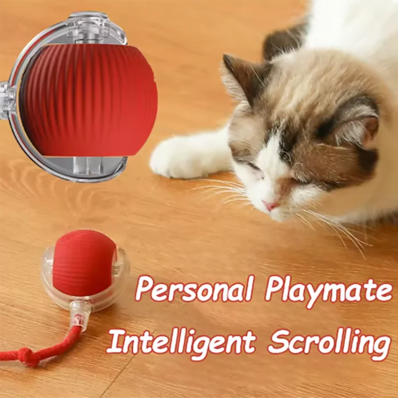 Hot Cat Toys Are Automatically Teasing Cat - ProPawPet.com