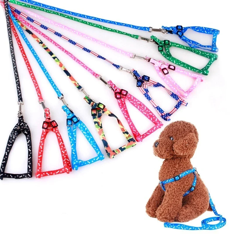 Cheap Small Dog Leash Puppy Leashes Teddy - ProPawPet.com