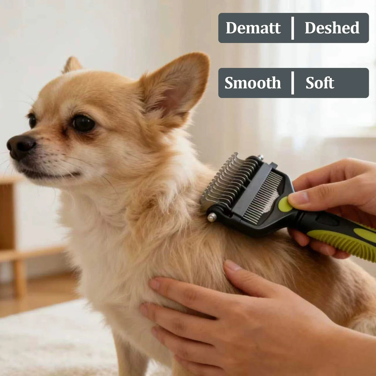 3 in 1 Pet Grooming Hair Brush Dog - ProPawPet.com