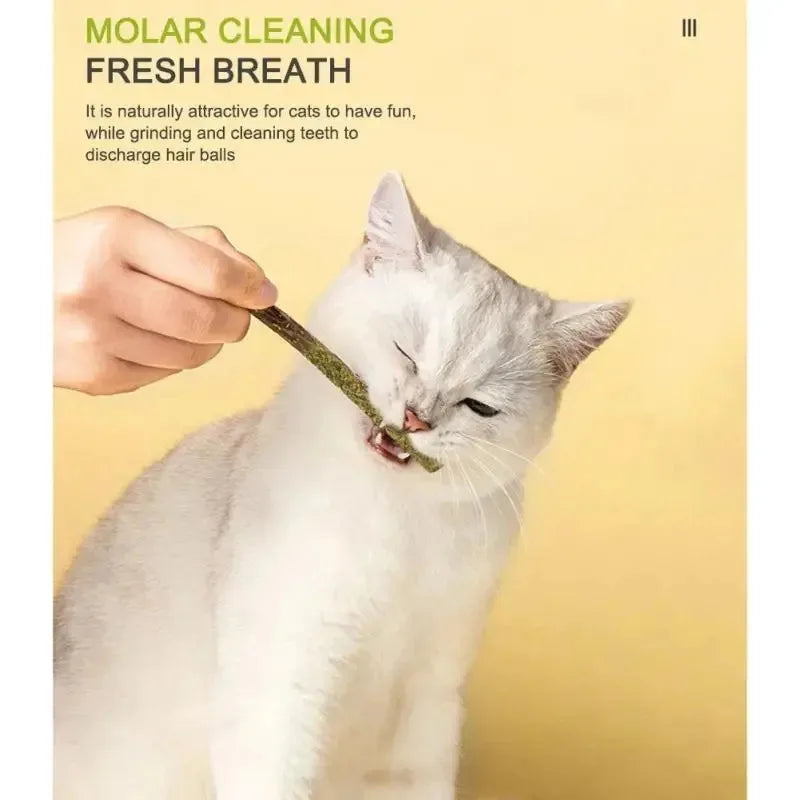 6-24Pcs Natural Matatabi Cat Stick Mint - ProPawPet.com