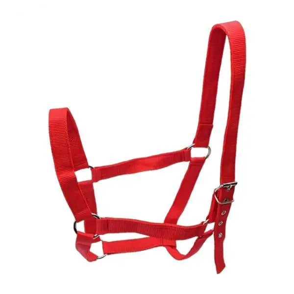 Strong PP Webbing Horse Halter Adjustable - ProPawPet.com