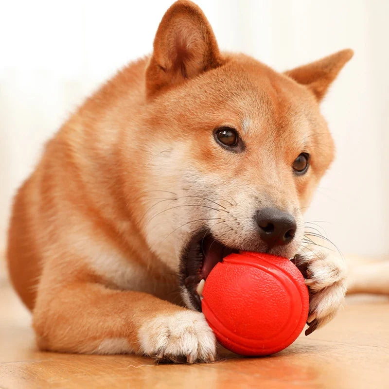 MADDEN S-XL Sizes Solid Rubber Balls Bouncy - ProPawPet.com