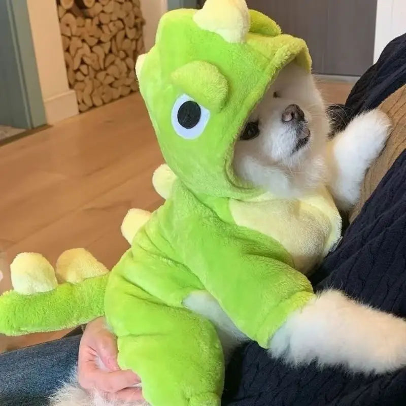 New Small Dinosaur Transforming Dog Clothes - ProPawPet.com