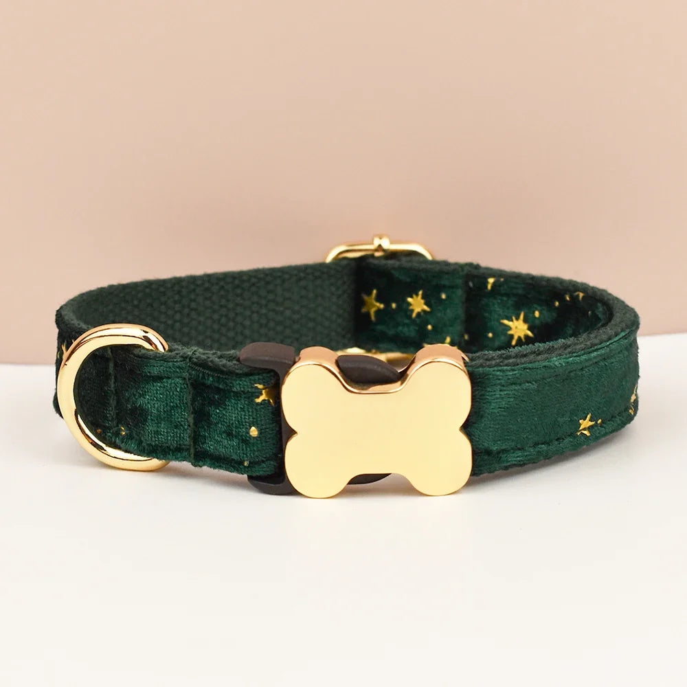 Premium Custom Engraved Dog Collar for Small - ProPawPet.com