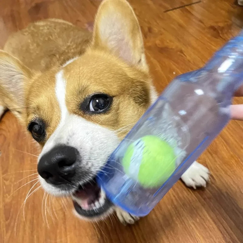 Dog Chew Toy TPR Bite-resistance Beer Bottle - ProPawPet.com