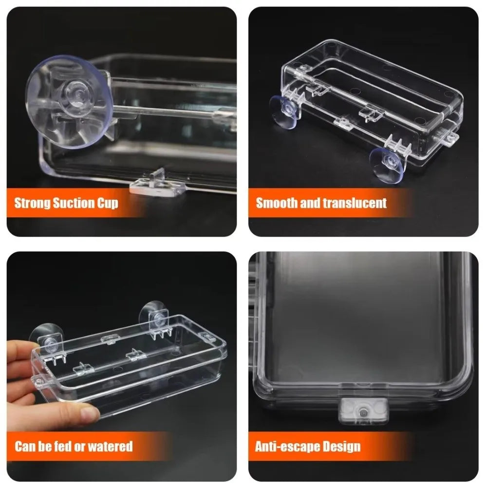 Anti-Escape Reptile Feeder Bowl Detachable - ProPawPet.com