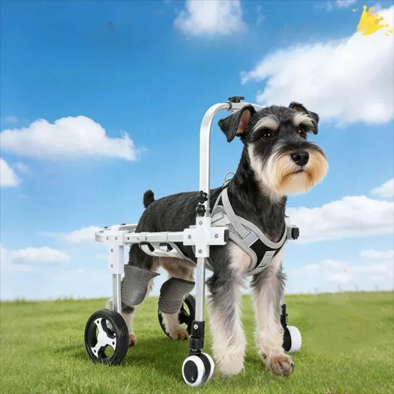 Pet Dog Wheelchair Cart Adjustable Pet - ProPawPet.com