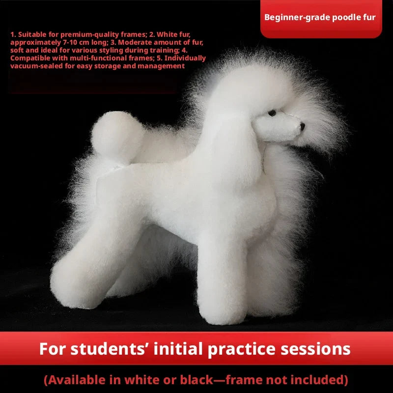 Dog Hair Beautician Practice Trimming Standard Poodle Teddy – Dog Supplies
