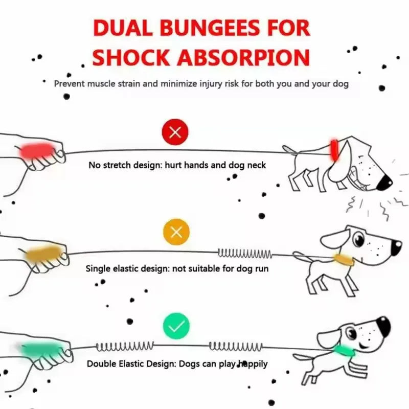 Outdoor Pet Dual Elastic Traction Rope - ProPawPet.com