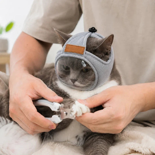 Cat Mask Mesh Breathable Lightweight Head - ProPawPet.com