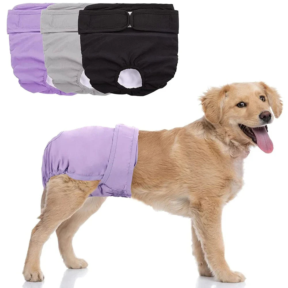 Reusable Female Dog Diapers Warps High - ProPawPet.com