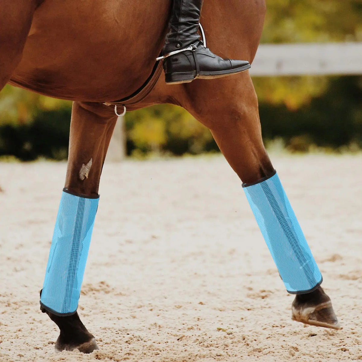 4Pcs Horse Leg Protection Net Cover - ProPawPet.com