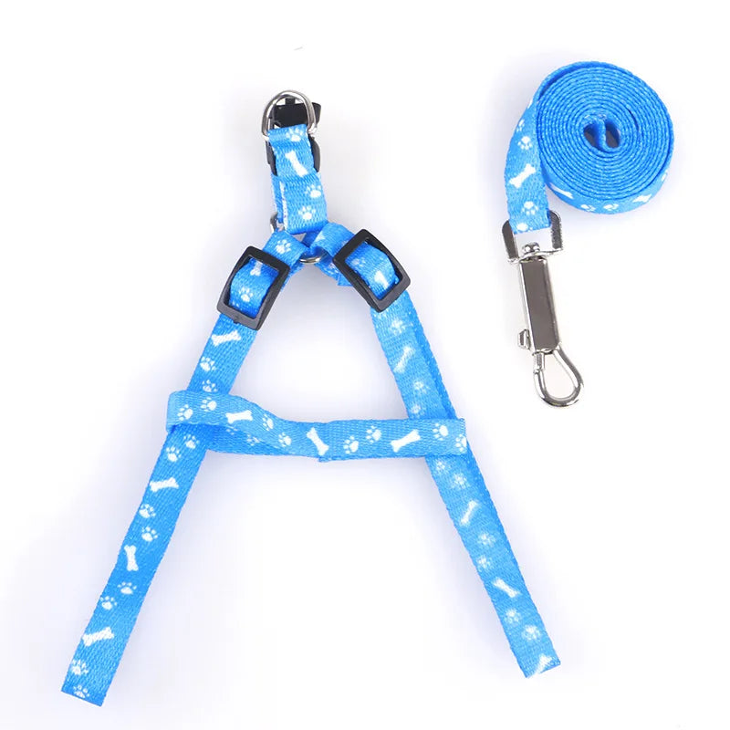 Cheap Small Dog Leash Puppy Leashes Teddy - ProPawPet.com