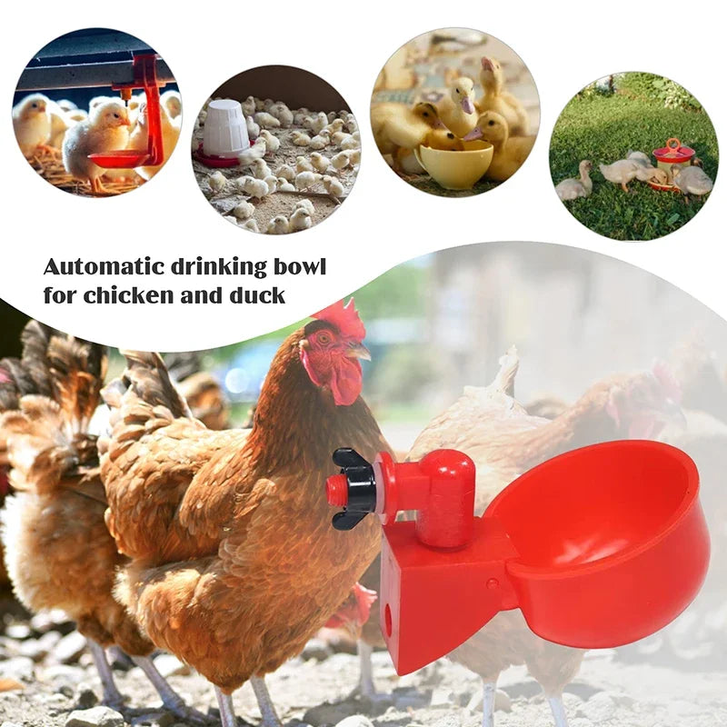 5-50PCS Chicken Drinking Cup Automatic - ProPawPet.com