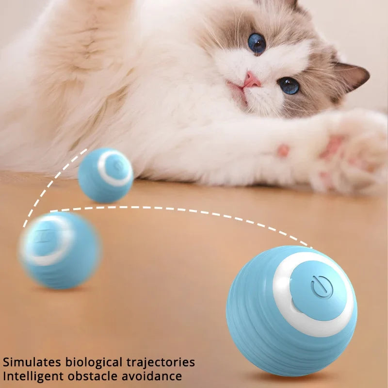 Interactive Cat Ball USB Rechargeable Fast - ProPawPet.com
