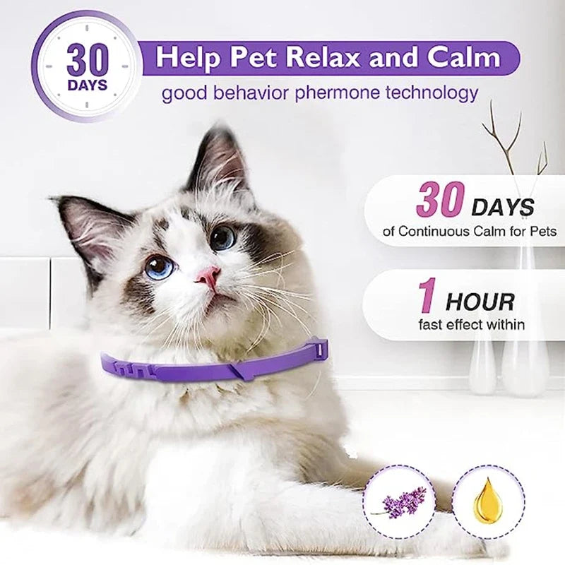 New 38cm Pet Comfort Collar, Relieves Cats' - ProPawPet.com