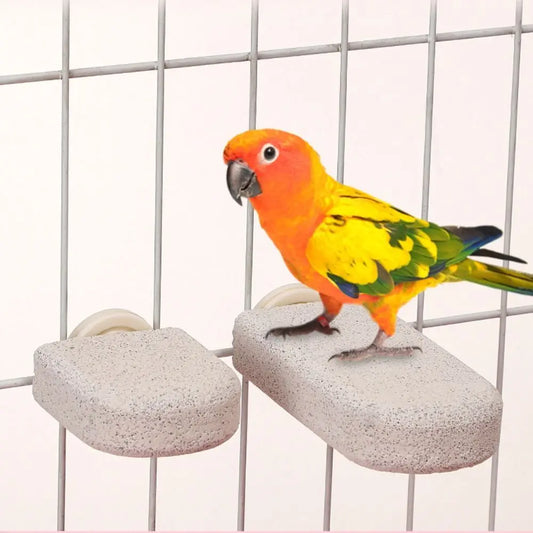Pumice Parrot Stand Board Tooth Grinding - ProPawPet.com