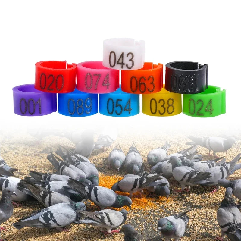 100Pcs Pigeon Foot Ring Feeding Supplies - ProPawPet.com