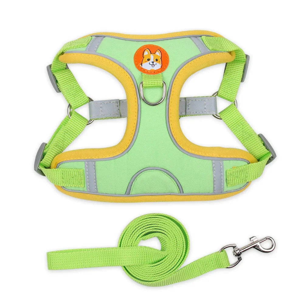Cat Harness Small Dog Leash Pomeranian Puppy - ProPawPet.com