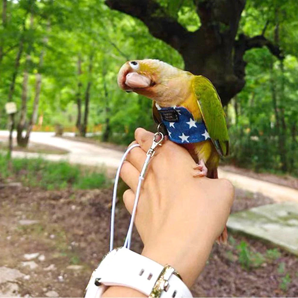 1Pc 11/15/13CM Comfortable Cowboy Parrot - ProPawPet.com