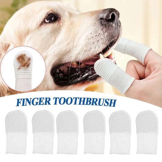 24/12pcs Pet Two-finger Brushing Finger Cots - ProPawPet.com