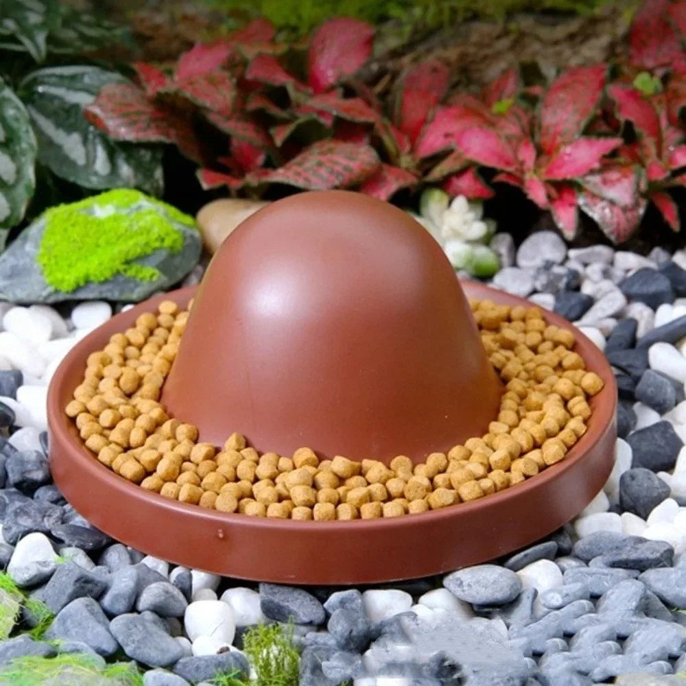 Plastic Reptile Feeder Bowl Escape Proof - ProPawPet.com