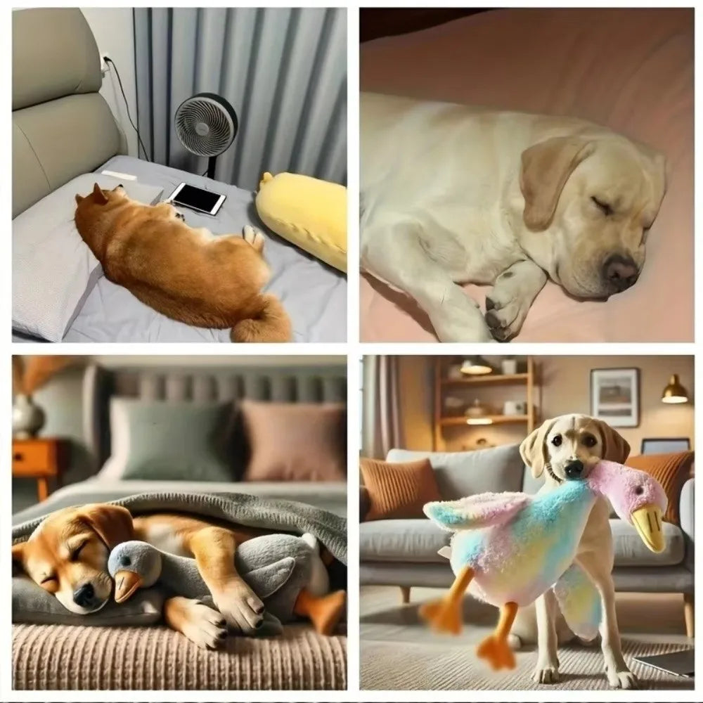 50/90cm Cute Energy Release Duck Dogs Toy - ProPawPet.com
