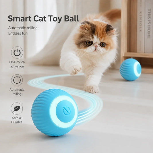Cat Interactive Ball Smart Cat Toy - ProPawPet.com