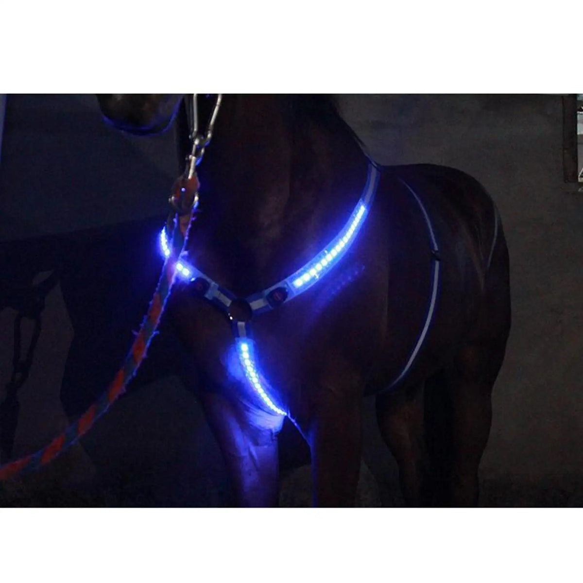 LED Luminous Horse Breast Collar halter - ProPawPet.com