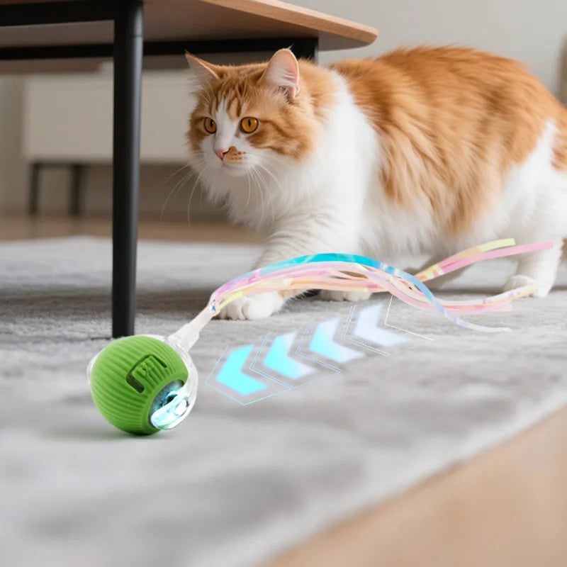Interactive Cat Toy Indoor Automatic Rolling - ProPawPet.com