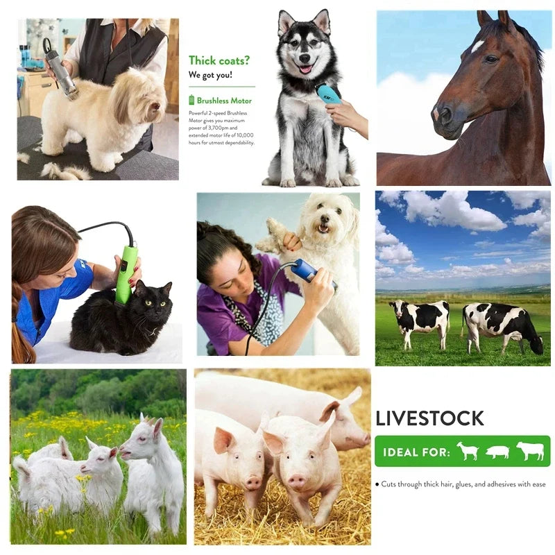 3F,4F,5F,7F,9#,10#,30#,40#,50# Detachable - ProPawPet.com