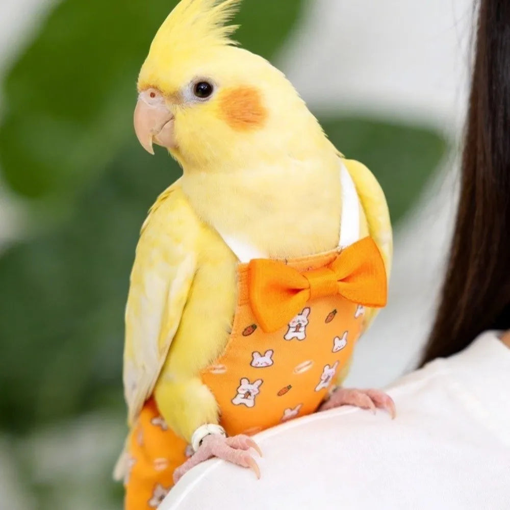 Washable Adjustable Pet Parrot Diaper - ProPawPet.com