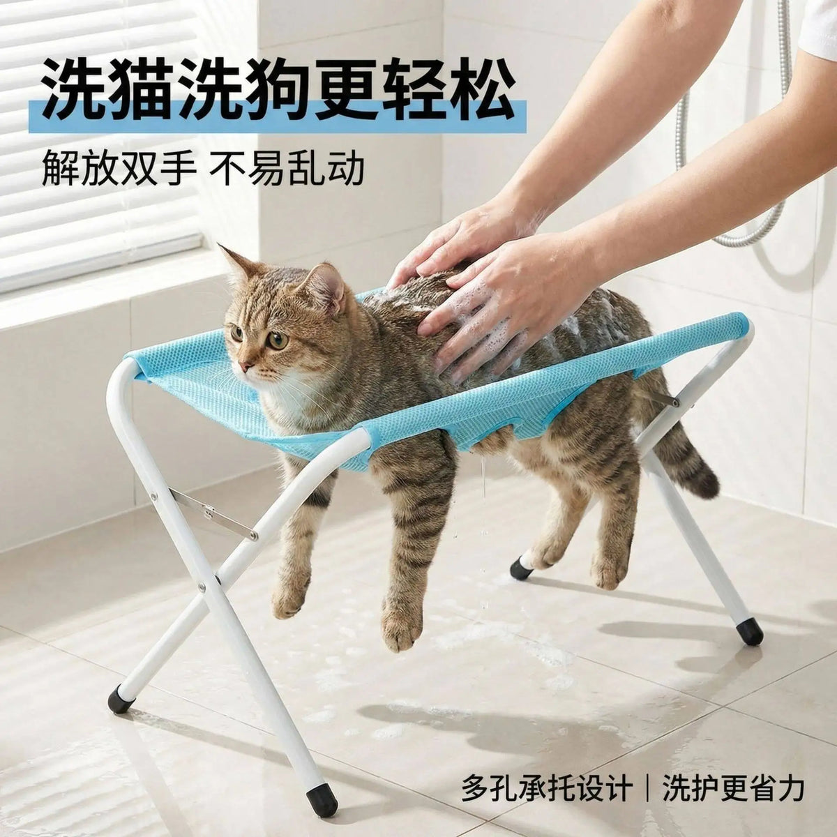 New Pet Support Fixture, Detachable Grooming - ProPawPet.com