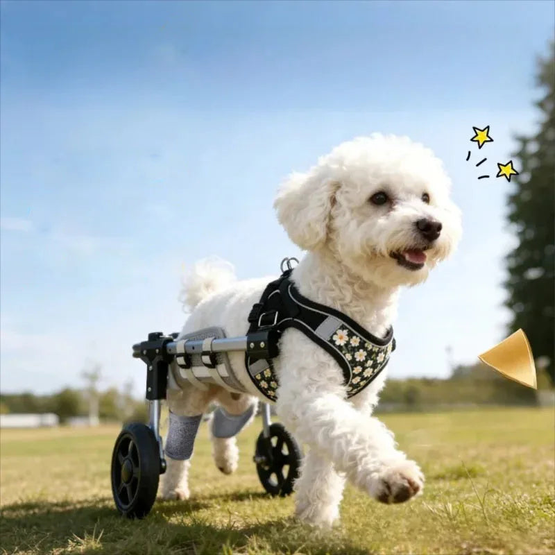 Pet Dog Wheelchair Cart Adjustable Pet - ProPawPet.com