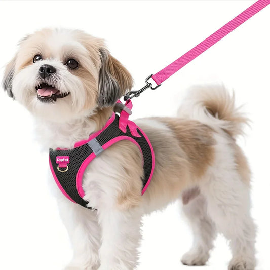 Dog Harness and Leash Set, Soft and - ProPawPet.com